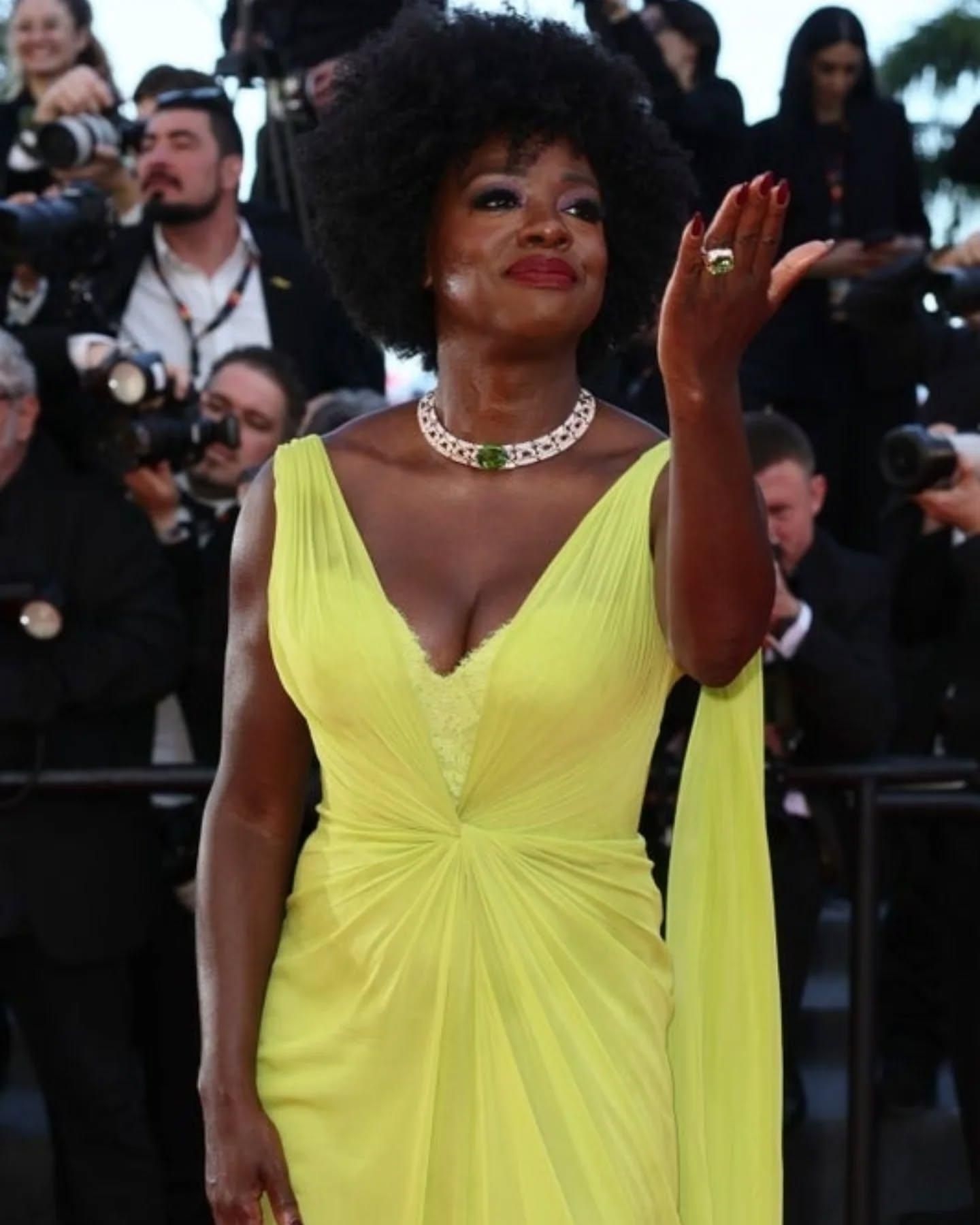 'I stand with my brothers and sisters in South Africa': Viola Davis slams 'white genocide' narrative