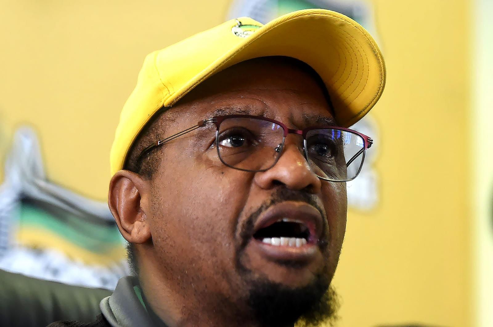 ANC declares war on illegal immigration in Gauteng: ‘They cannot walk around comfortably'