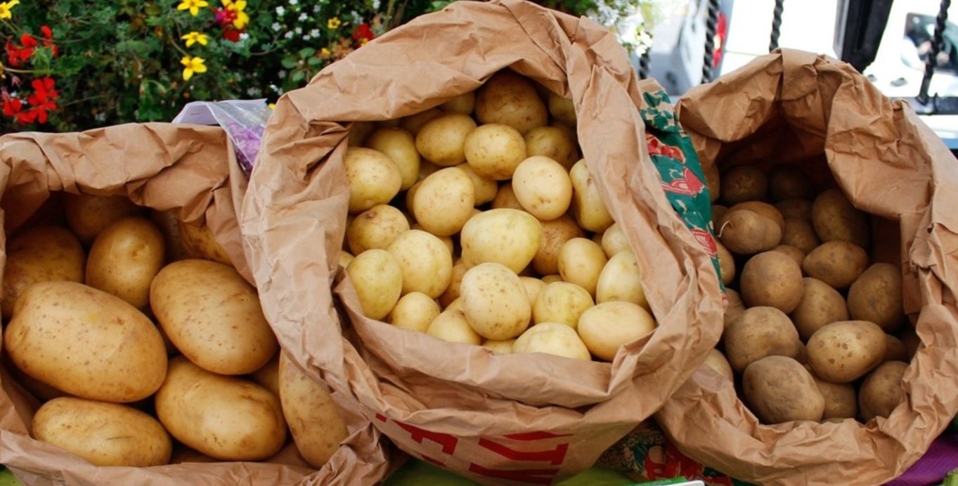 Is South Africa facing a potato drought? Changes to Golden Dish's menu explained