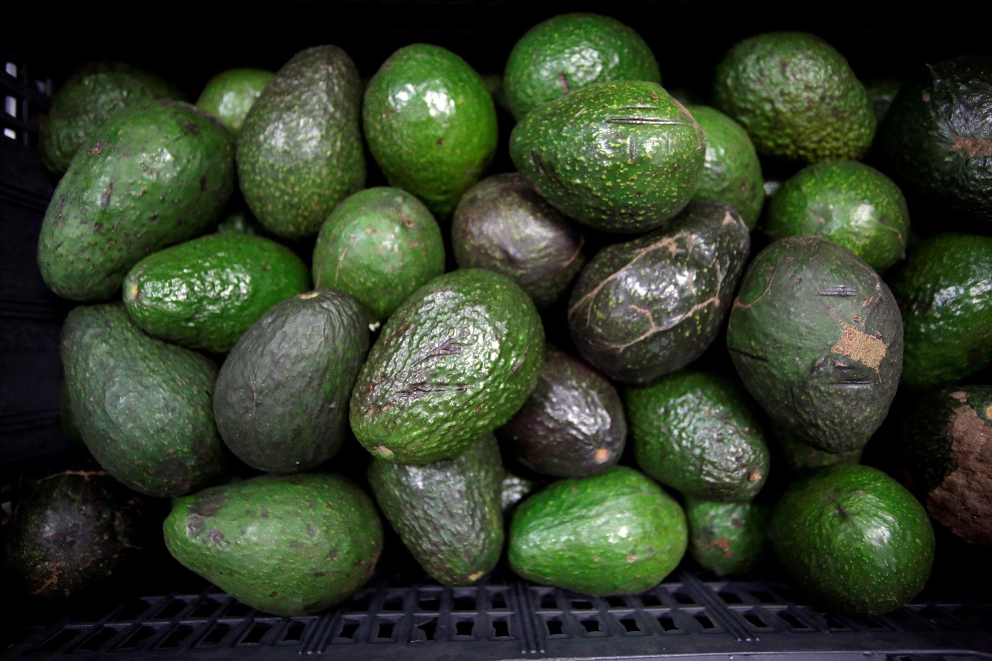 Tanzania's threats to South Africa's agricultural exports are possibly misguided
