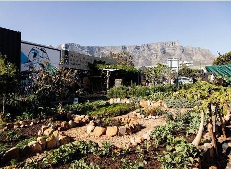 Cape Town's Streetscape aims to secure housing for 14000 homeless residents