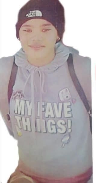 Community rallies to find missing 16-year-old Chanelle Plaatjies