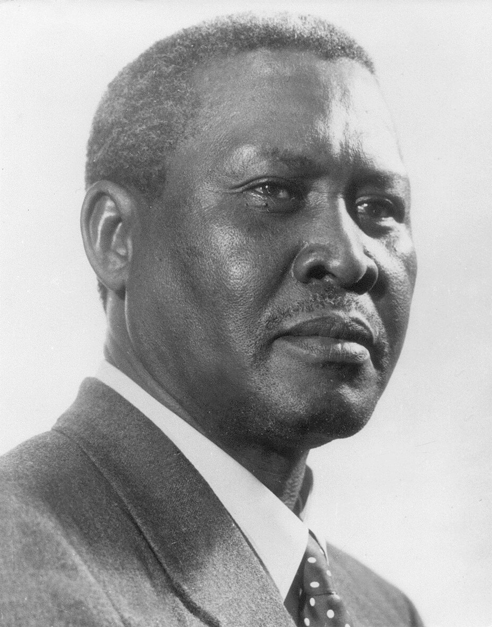 Albert Luthuli's reinstatement as Inkosi of Umvoti Mission Reserve on the agenda in KwaZulu-Natal Legislature