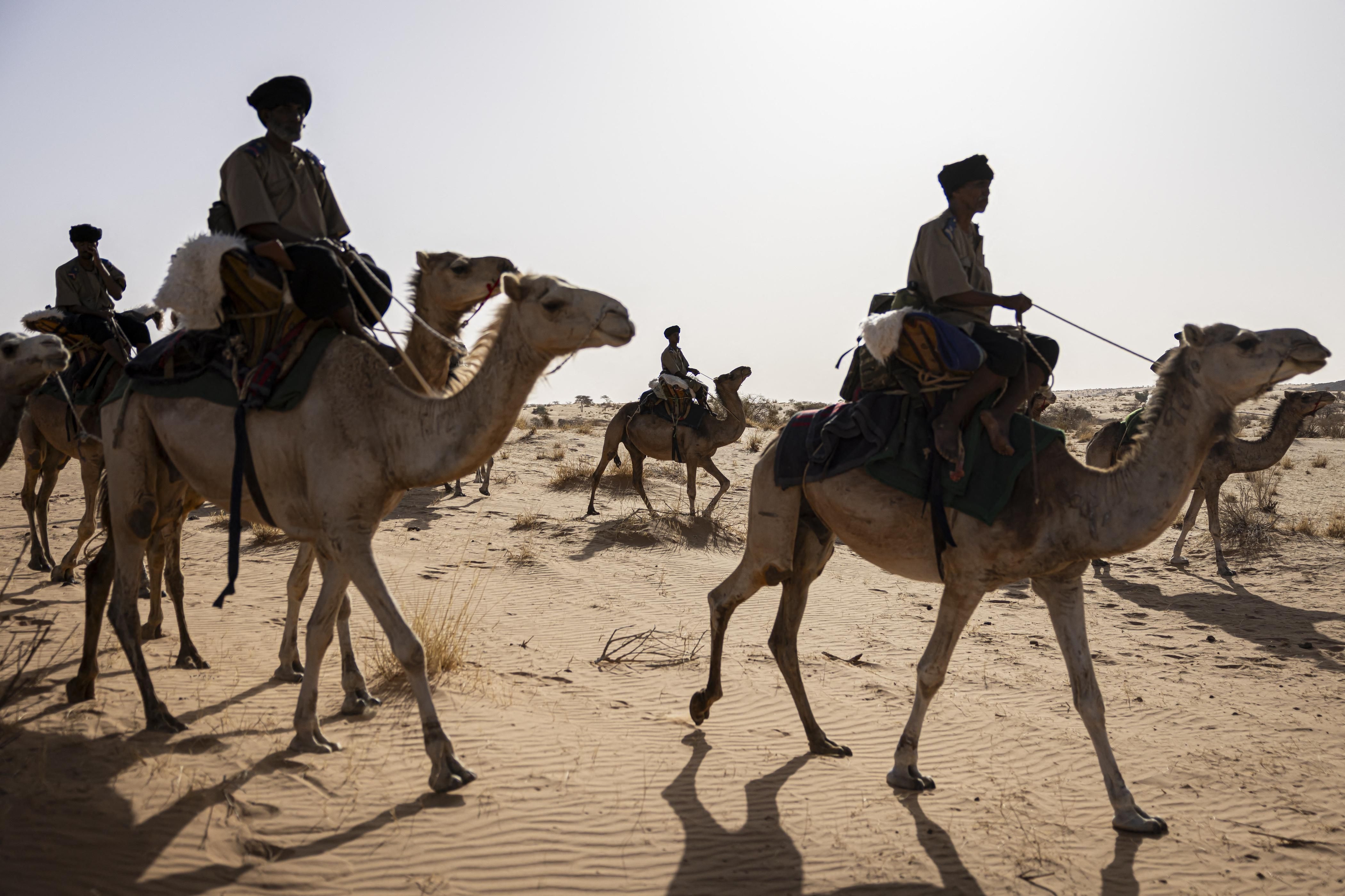 On patrol for jihadists with the camel cavalry