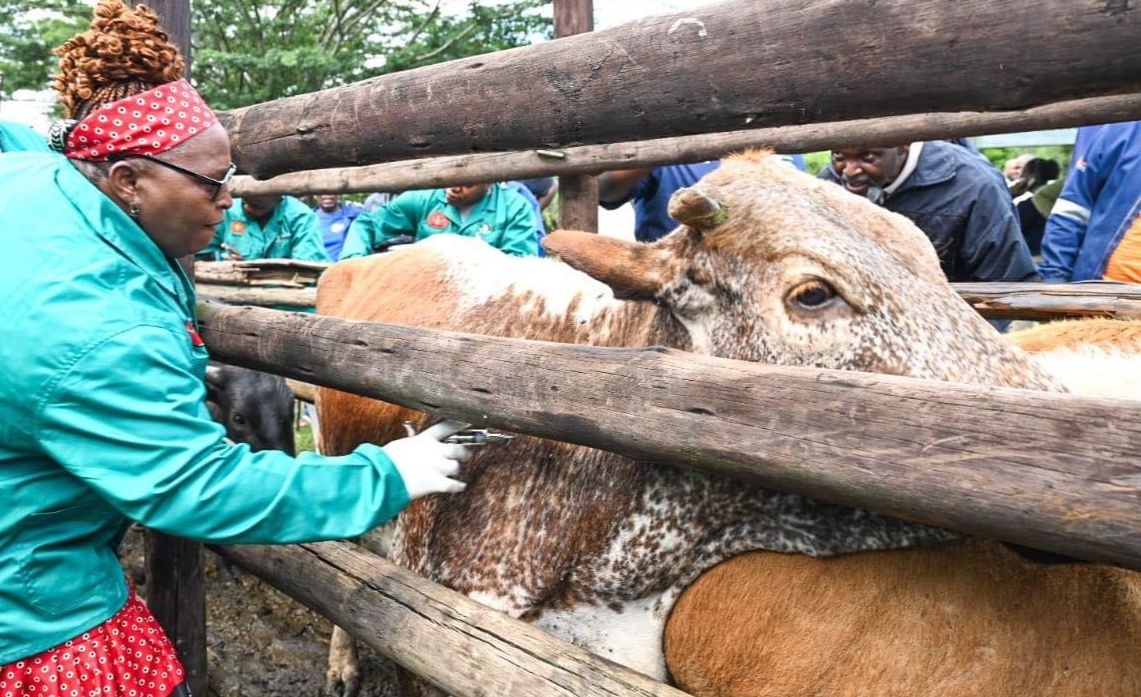 Is South Africa's veterinary workforce crisis threatening food security and animal health?