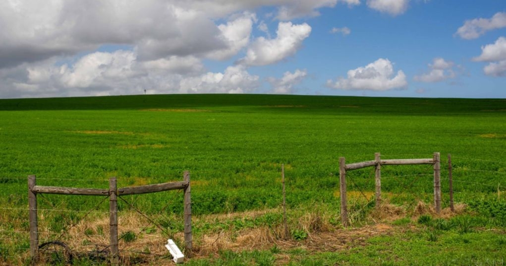 Expropriation Act: How many expropriating authorities are empowered by the Act?