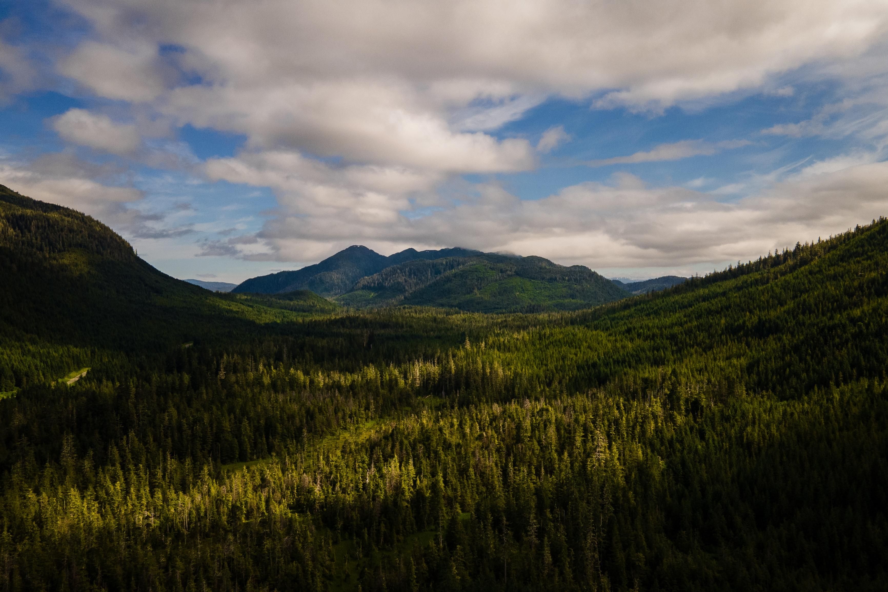 Trump administration plans to rescind roadless protections for national forests