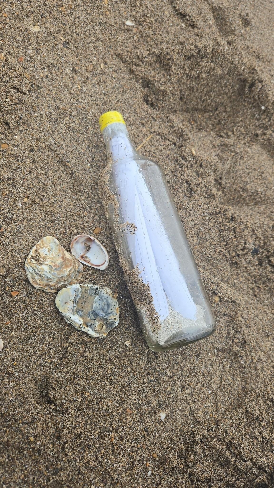 Daughter sets mother's ashes adrift in a bottle to fulfill her dream of travelling the world