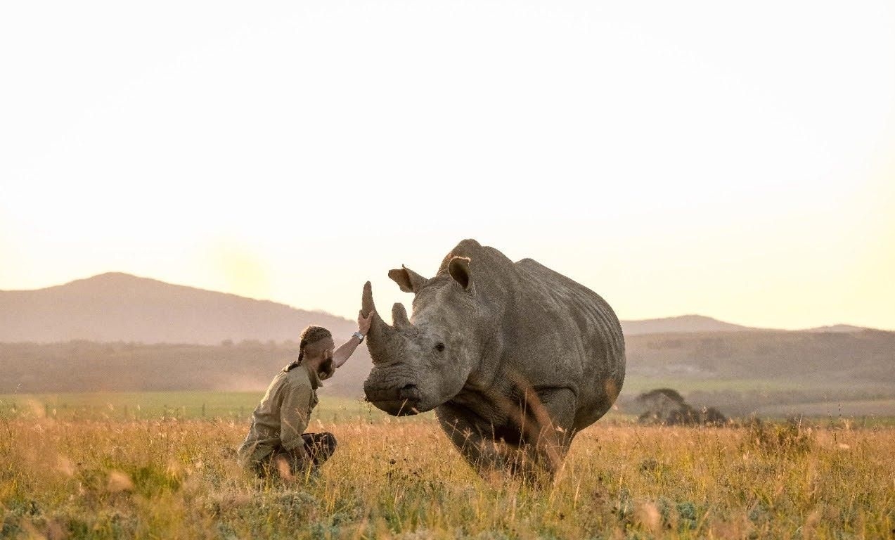 Justin Terblanche: the rhino whisperer's fight against poaching