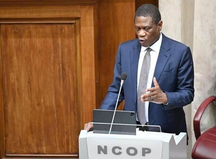 President Ramaphosa insists Paul Mashatile must personally address diamond gift controversy