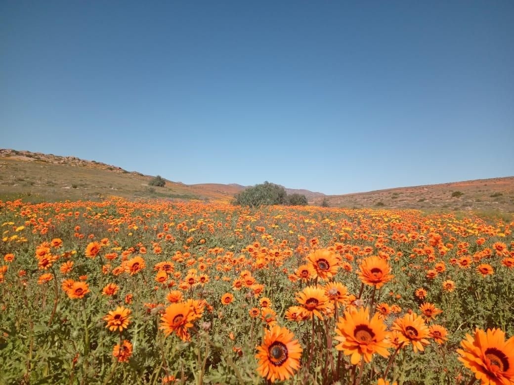 SANParks announes week of free access to national parks