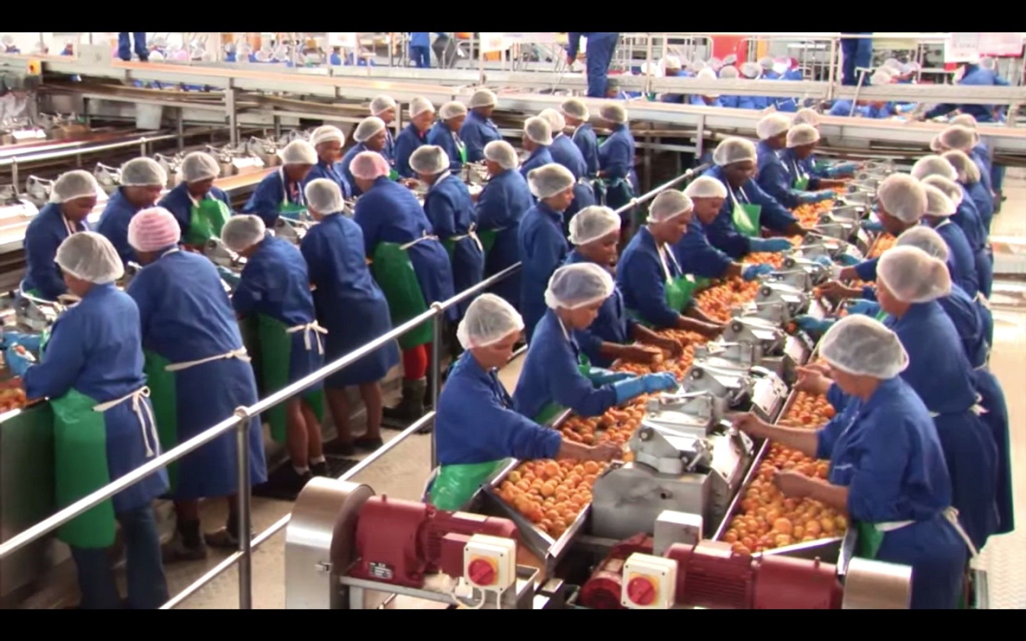 Tiger Brands secures future for 3 000 farm workers with sale of Langeberg fruit business