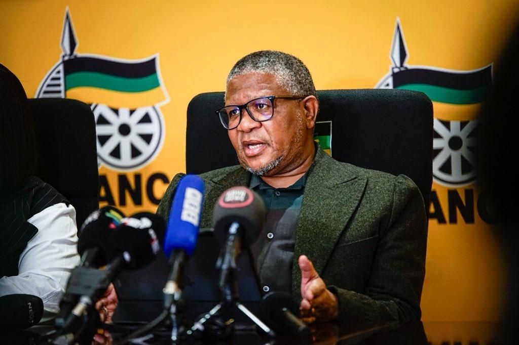 ANC rallies behind acting police minister Cachalia's appointment