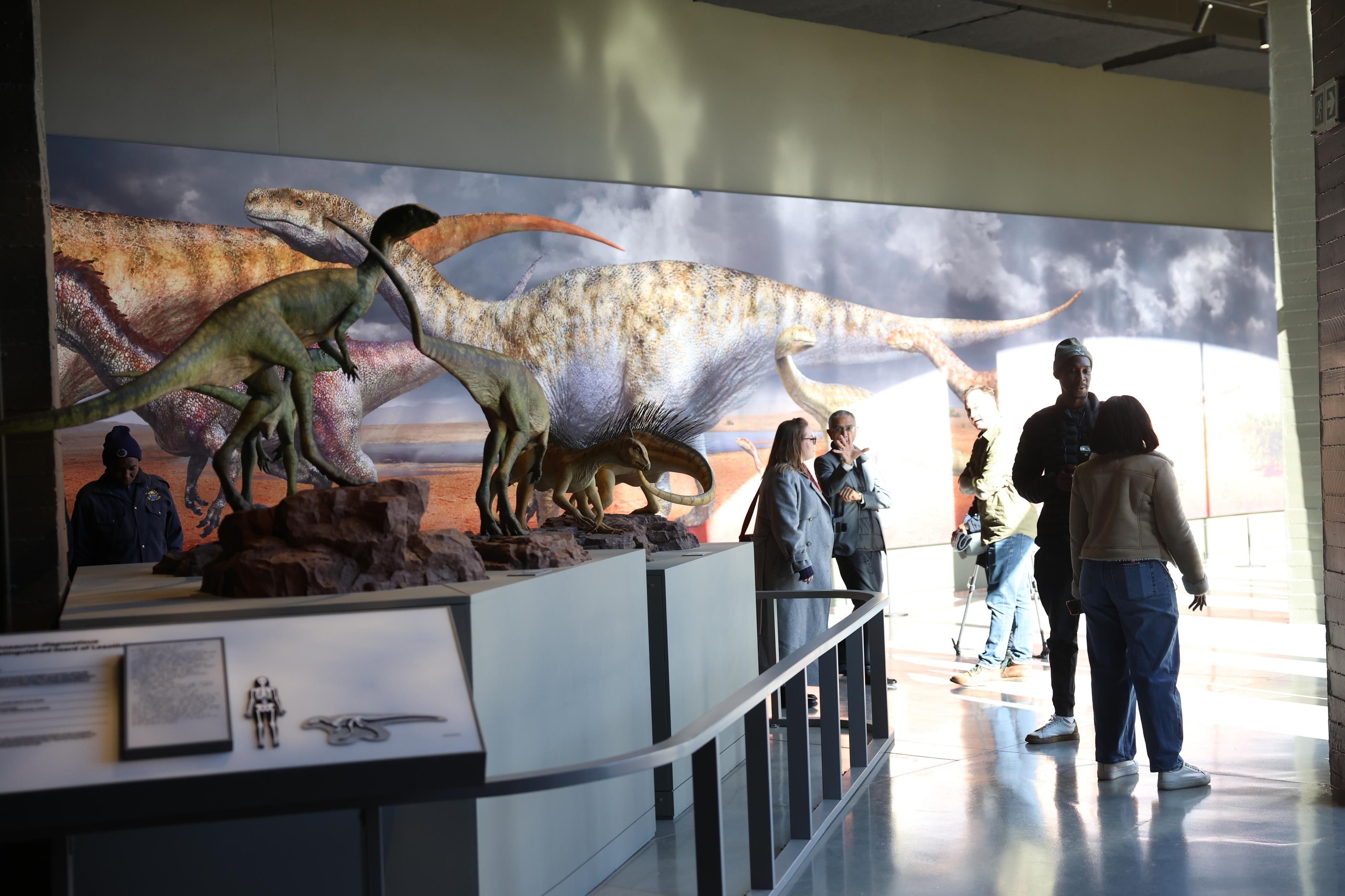 Explore Africa's ancient history at the Kgodumodumo Dinosaur Interpretation Centre