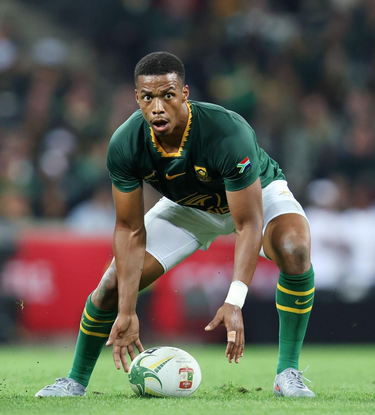 Williams keeps feet grounded ahead of Springboks' Rugby Championship opener