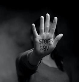 Experts discuss the fight against gender-based violence in South Africa