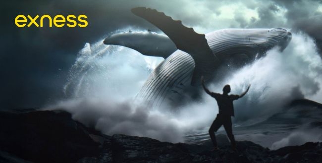Exness launches bold new global campaign, putting traders at the heart of the story