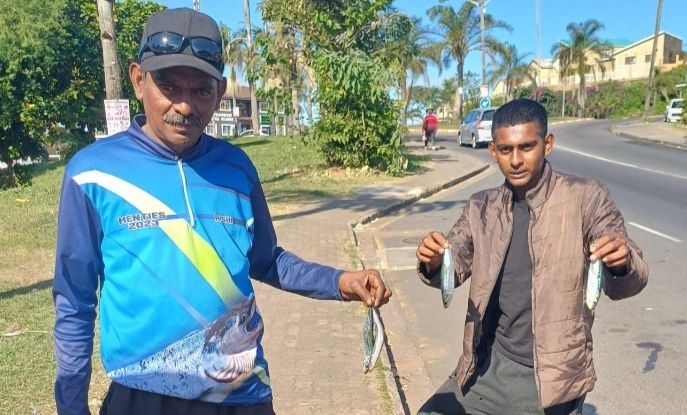 Sardines for R1: how one fisherman is changing the game