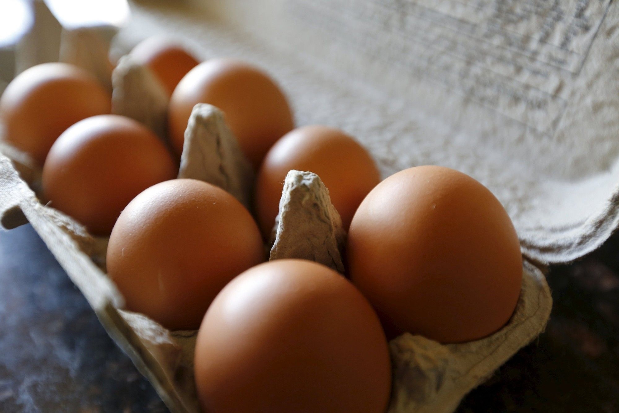 Quantum Foods adapts strategy amid high risk of avian influenze outbreak in South Africa