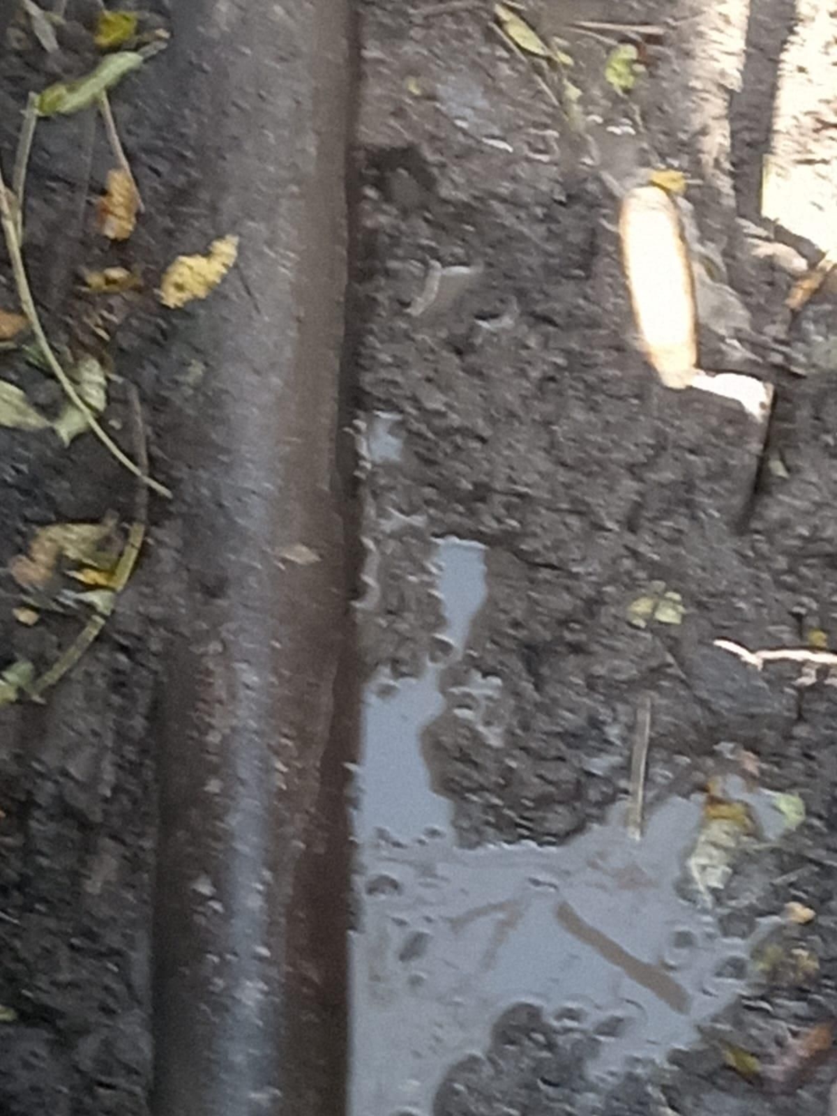 Durban school receives vital support from business and community for water pipe repair