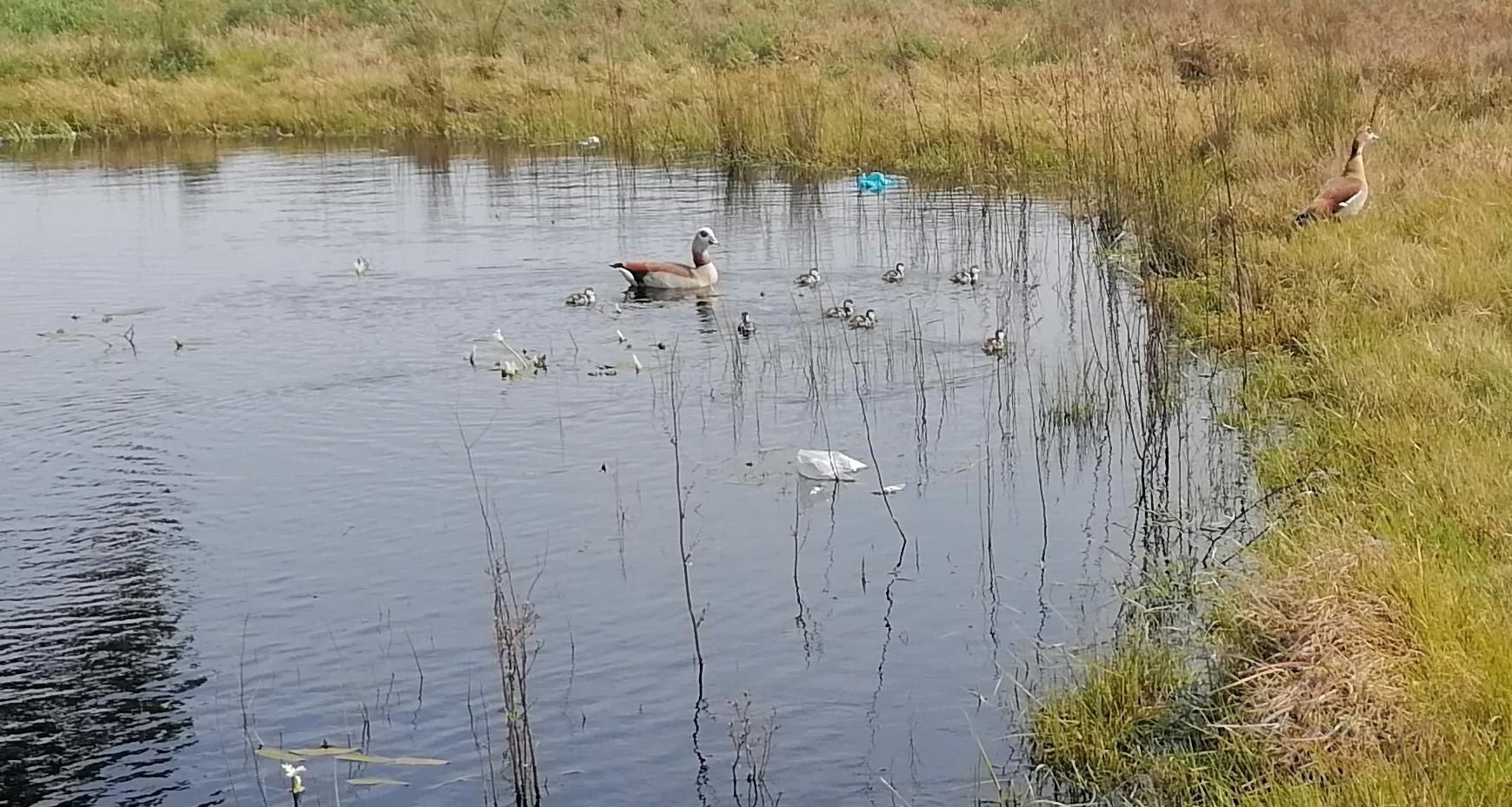Community urged to protect Rosendal Dam from Illegal fishing practices