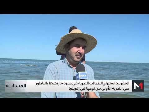 بحيرة مارتشيكا بالناظور.. تجربة رائدة في استزراع الطحالب