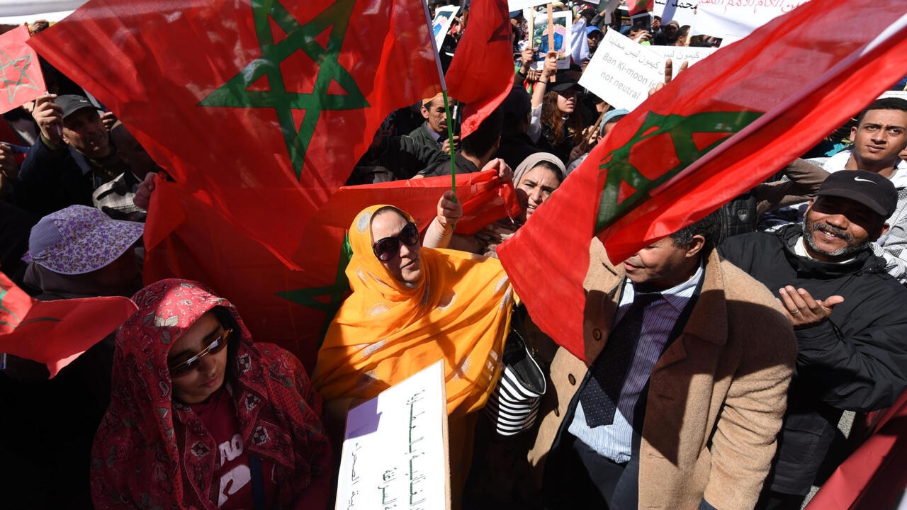 استغلال أطفال تندوف: رسالة احتجاج إلى الحكومة الإيطالية وإدانة لجرائم الاتجار بالبشر تحت غطاء سياسي مشبوه