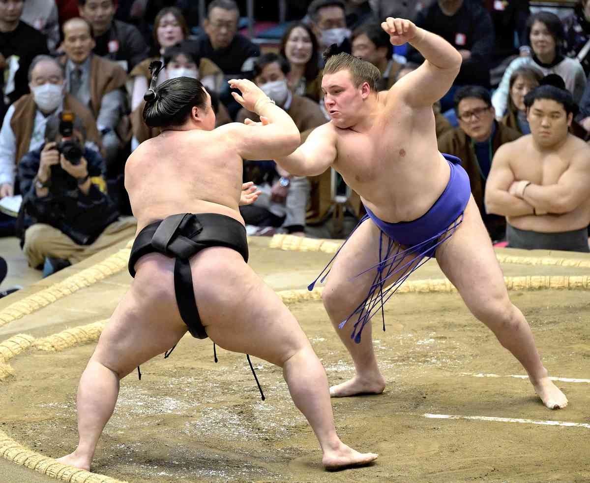 Sumo Scene / Rising Ukrainian Wrestler Aonishiki Looks to Make Waves in Summer Tourney