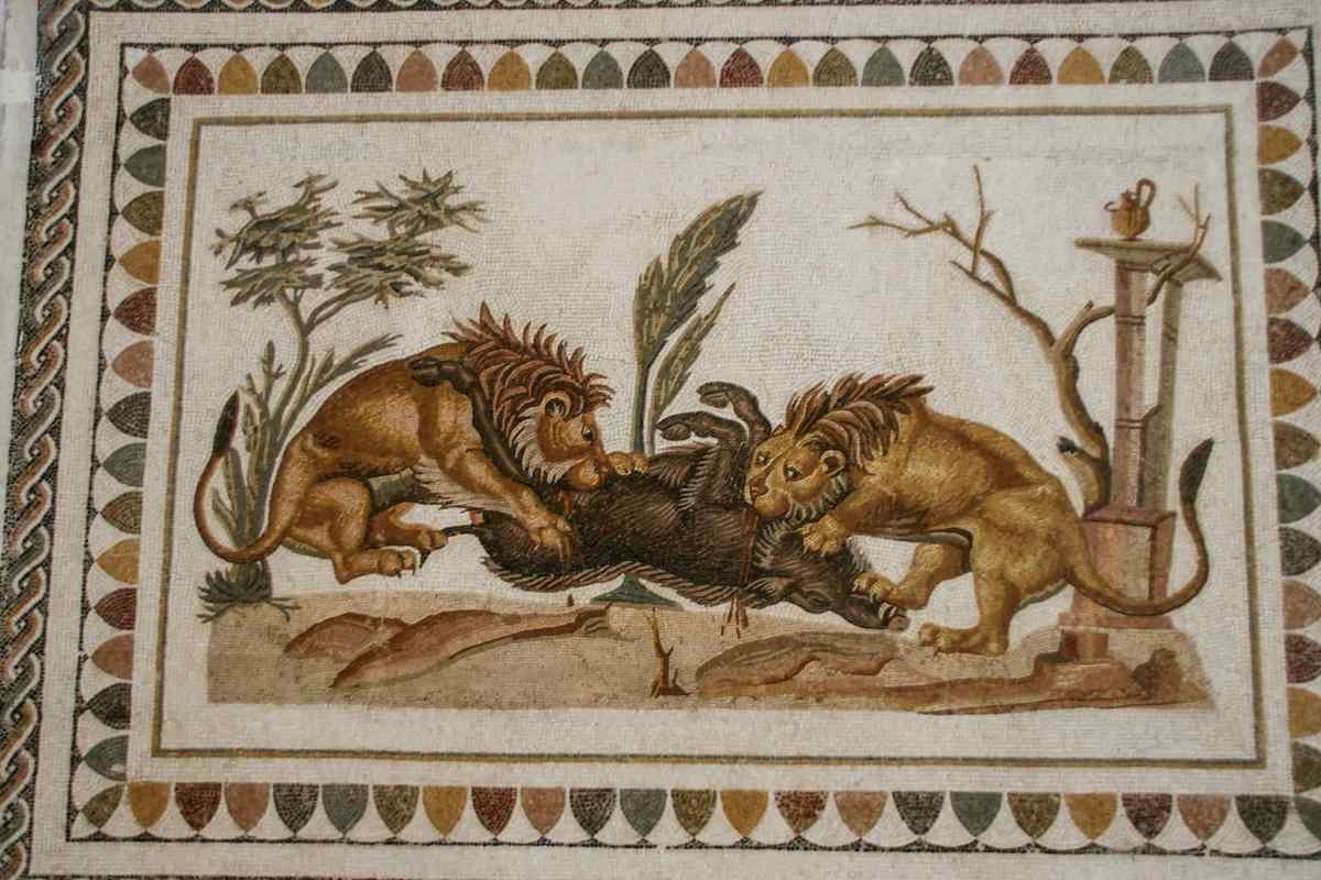 Bite Marks Reveal Gladiator's Fatal Encounter with Lion in Roman Britain