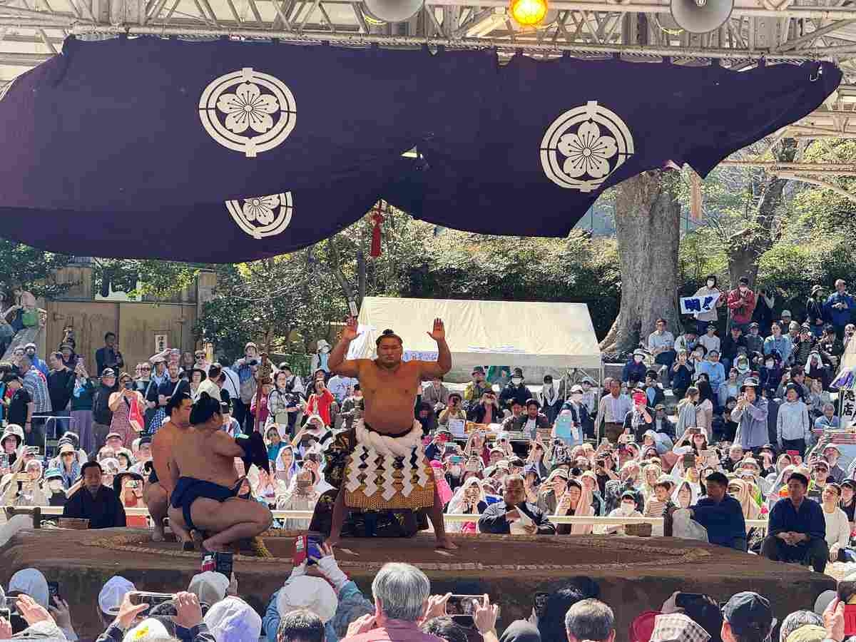 Sumo Scene / Yasukuni Shrine, Holy Ground for Amateur Sumo Aiming for Greatness at Ryogoku Kokugikan