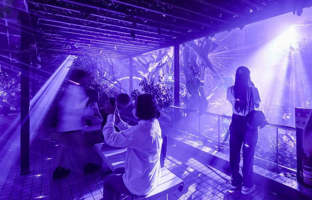 Botanical Garden Hosts Nighttime Immersive Event in Kyoto