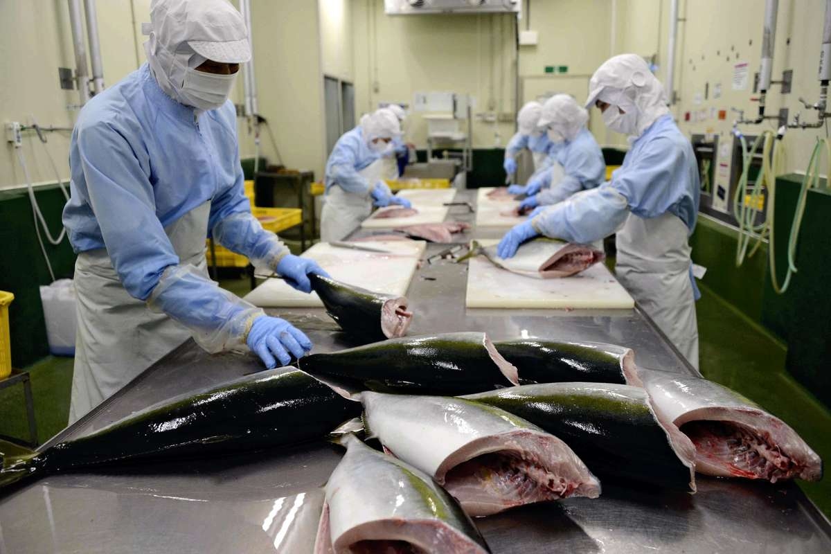 Southwest Japan's Callenges: Signs of Growth / Fisheries Industry Seeks Growth Overseas to Counter Declining Domestic Demand; Aquaculture, Quality Control Key Avenues