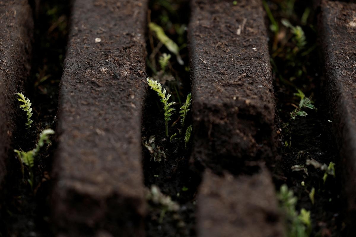 On Ireland's  Peat Bogs, Climate Action Clashes with Tradition
