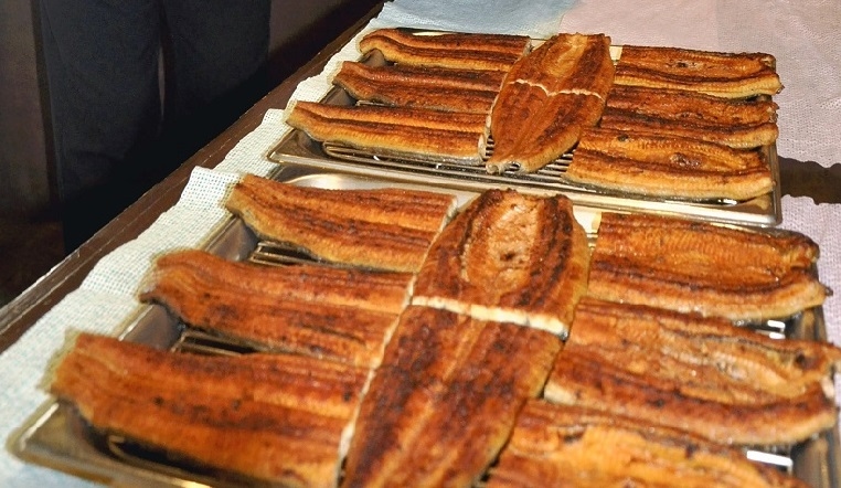 Possible Trade Restrictions May Increase Eel Price in Japan; Availability of Summer Delicacy Could Decline
