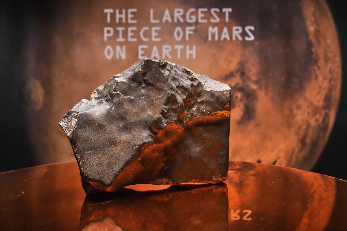 Largest Piece of Mars on Earth Fetches $5.3 Million at Auction, But Young Dinosaur Steals the Show