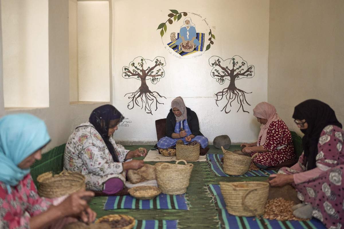 The Beauty Industry Loves Argan Oil. But Demand, and Drought, Are Straining Morocco and Its Trees
