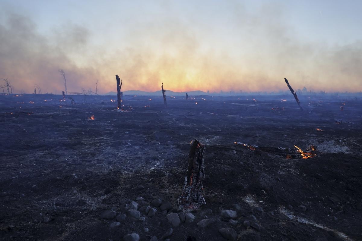 Wildfire Burns through Northern Suburb of Greece's Capital Athens and Residents Are Told to Evacuate