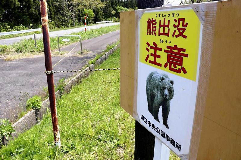 Fruiting of Beechnuts Expected to be Extremely Poor in Akita Pref.; One of Main Food Sources for Bears