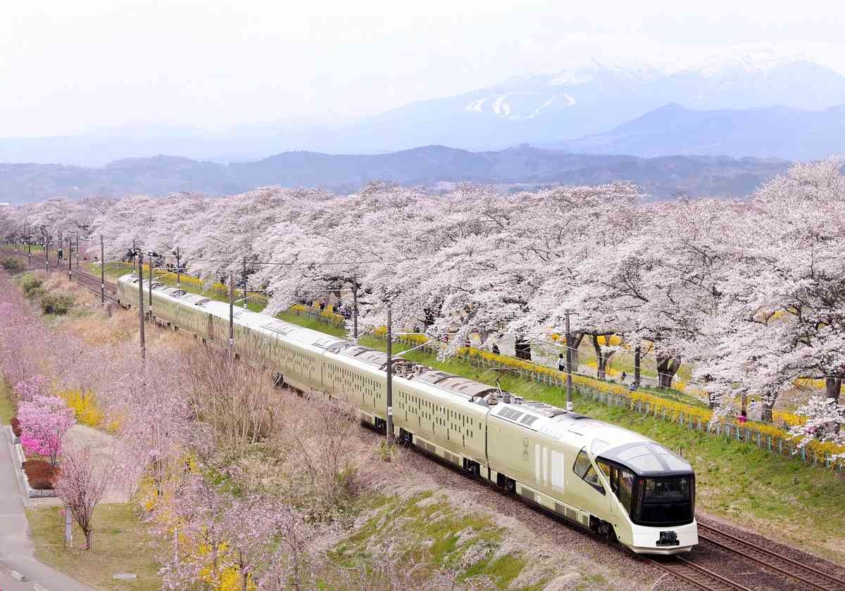 JR East Luxury Sleeper Train Staff Drank On-Duty; Investigation Finds Employees Habitually Consumed Alcoholic Beverages During Breaks for Years