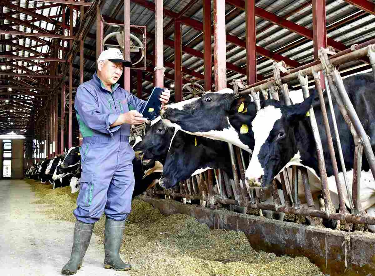 Online Medical Exams Extended to Livestock Due to Veterinarian Shortage