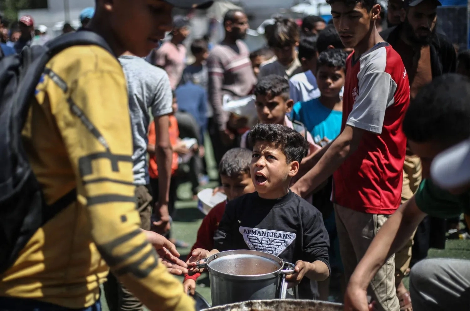 غزيون يلجأون إلى أكل السلاحف من أجل البقاء
