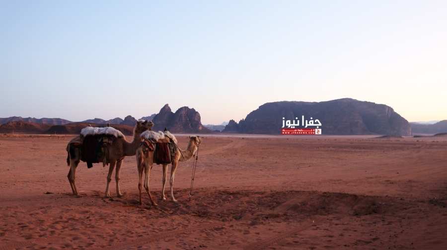 أكثر من 2 مليون زائر للأماكن الأثرية بالأردن خلال 2024