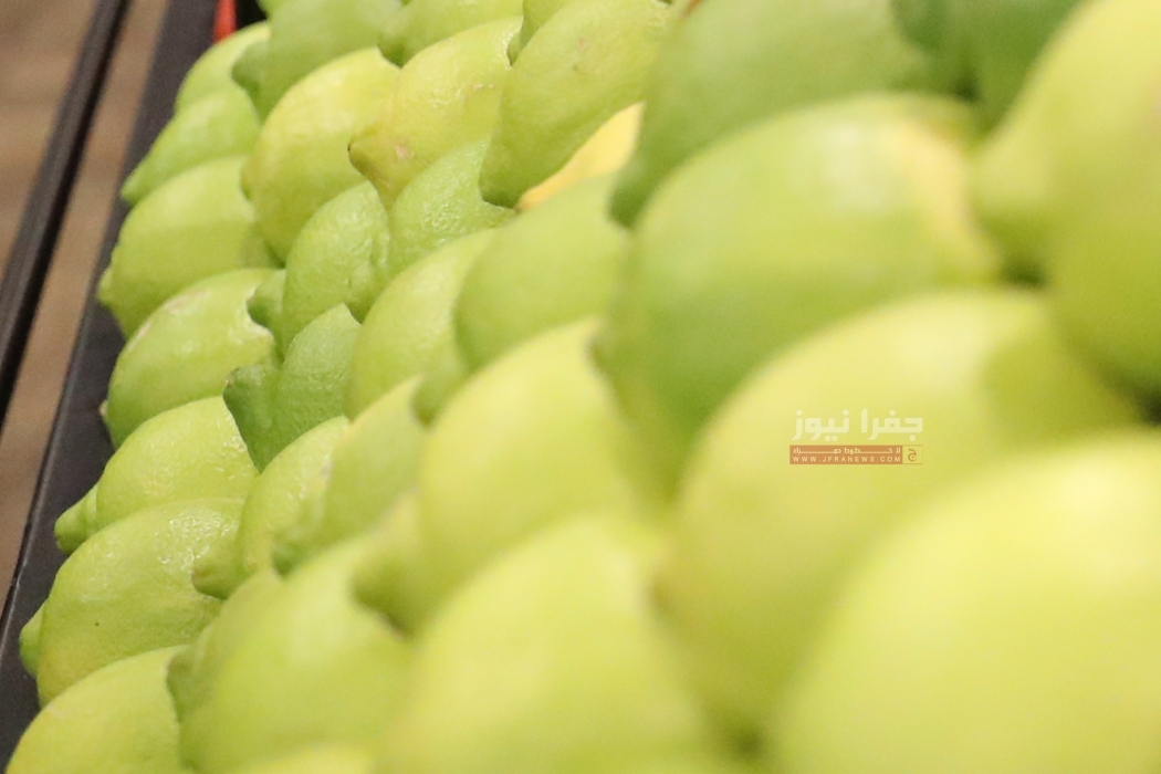 الليمون بأسعار خيالية وغياب حكومي