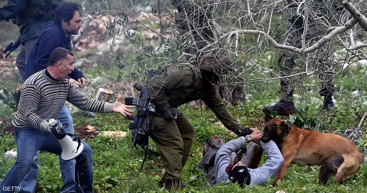 هولندا تصدّر كلابًا عسكرية تُستخدم بتعذيب الفلسطينيين