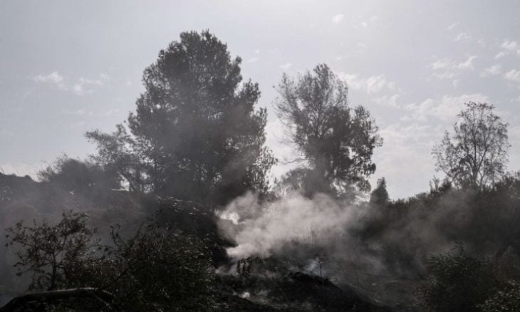 صحيفة إسرائيلية: تجدد الحرائق في ضواحي القدس الغربية #عاجل