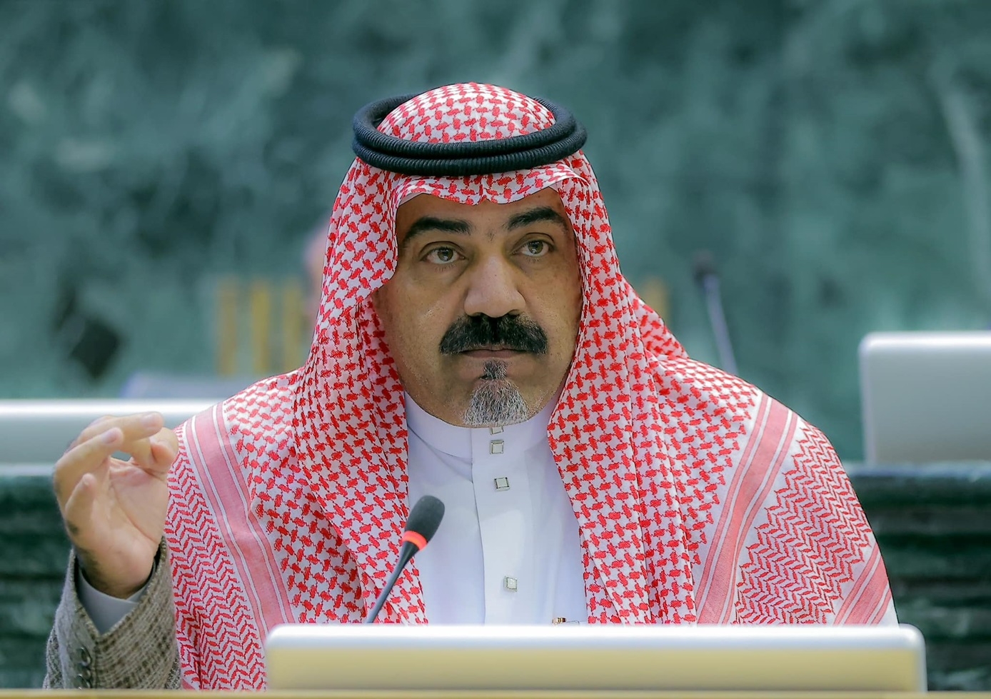 المراعية: ننتظر فتوى المحكمة الدستورية بشأن الرقابة على الشركات المملوكة للحكومة