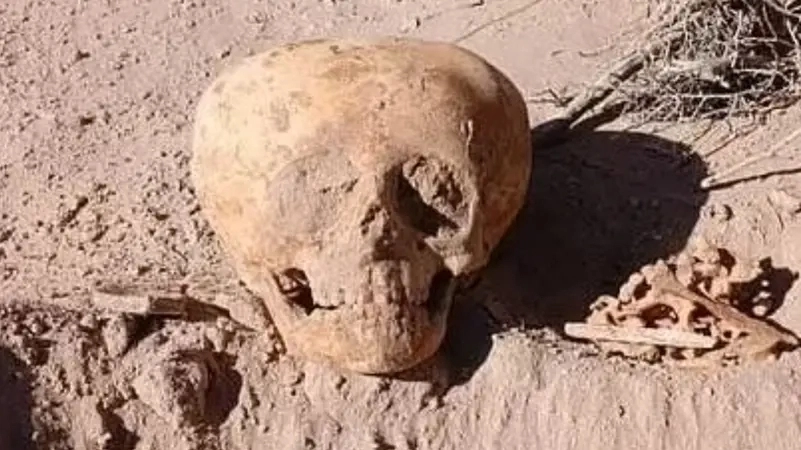 شبيهة بـ"رجال النمل" والفضائيين.. العثور على جمجمة تثير دهشة العلماء