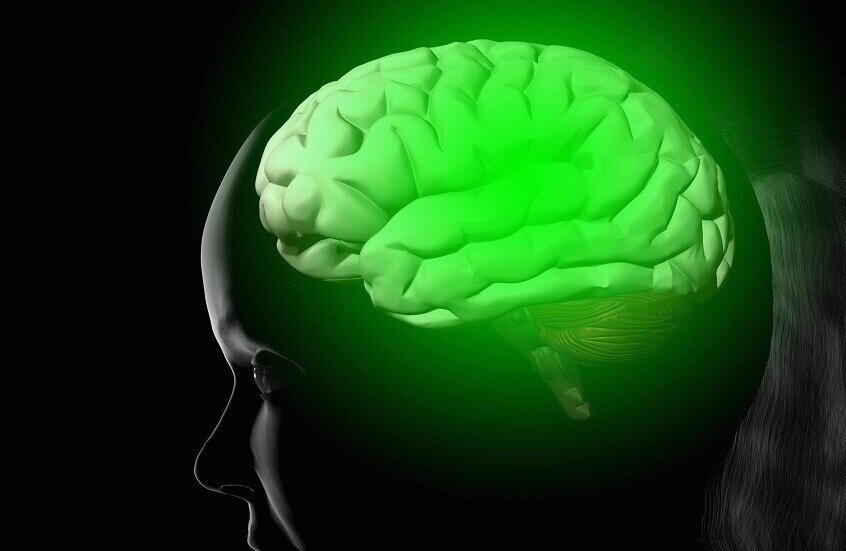 "بقعة زرقاء".. اكتشاف "زر إعادة ضبط" الذاكرة في الدماغ