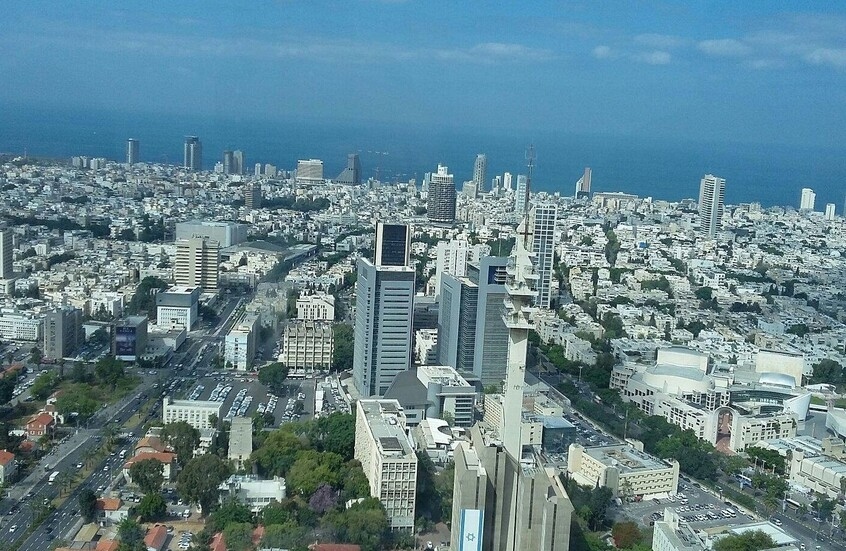 ذباب مصري يغزو "اسرائيل" مخاوف في تل أبيب من ظاهرة واسعة النطاق تحدث لأول مرة