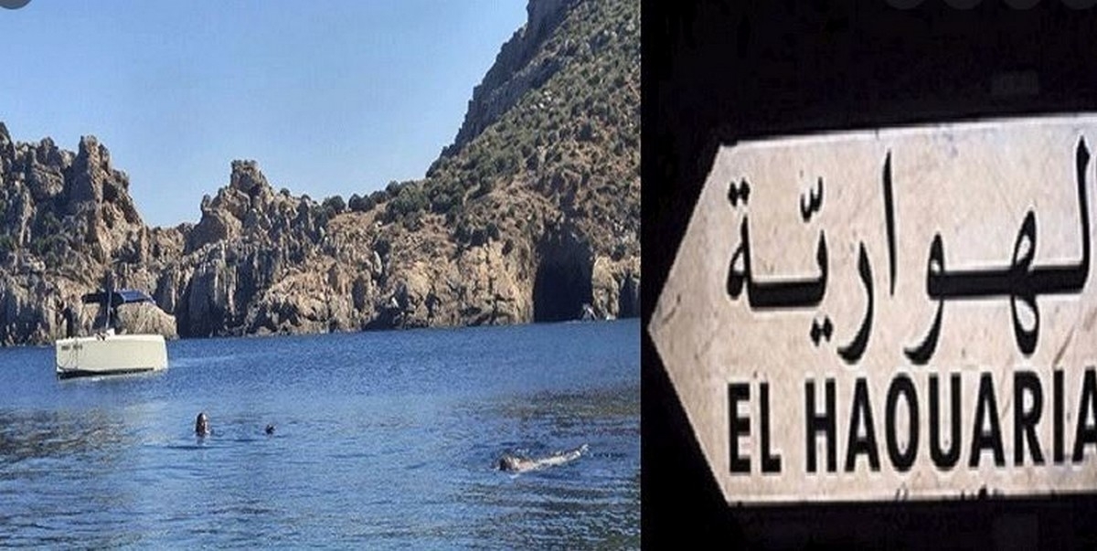 الغرفة الفتية العالمية بالهوارية تنظم معرض : '100% هواري'